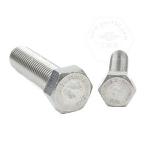 Hex Bolts plainss304 DIN933