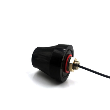 Module Active Glonass GPS -antenne voor auto