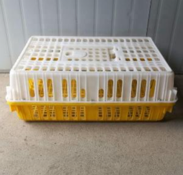 Affordable Plastic Chicken Coops and Crates for Sale