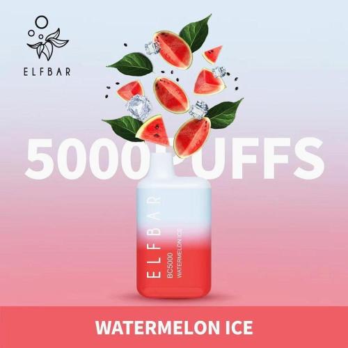 Hot Selling Elf Bar BC5000 Vape descartável