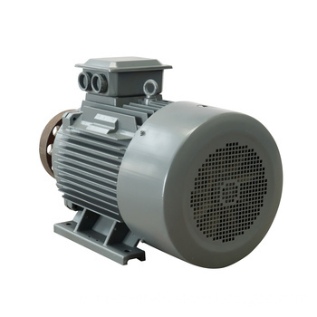 220V Permanent Magnet Generator Alternator with Electricity-Generating Magnetic Field