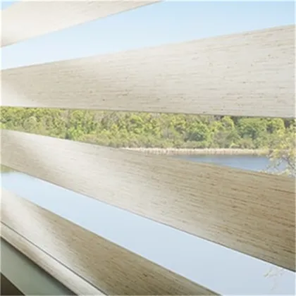 Motorized Zebra Roller Shadings