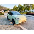 Neta AYA 2023 model 318LIT version