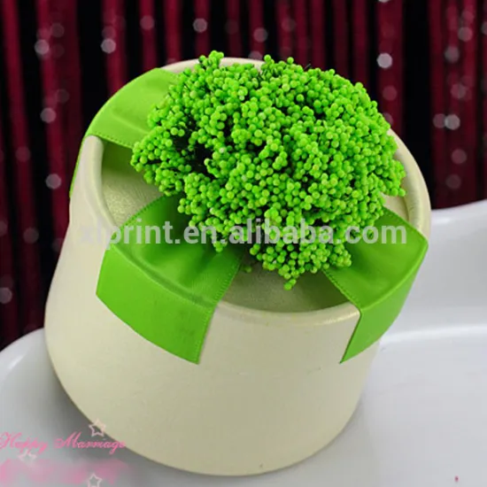 Fany paper tube for jewely/chocolate /candy packaging