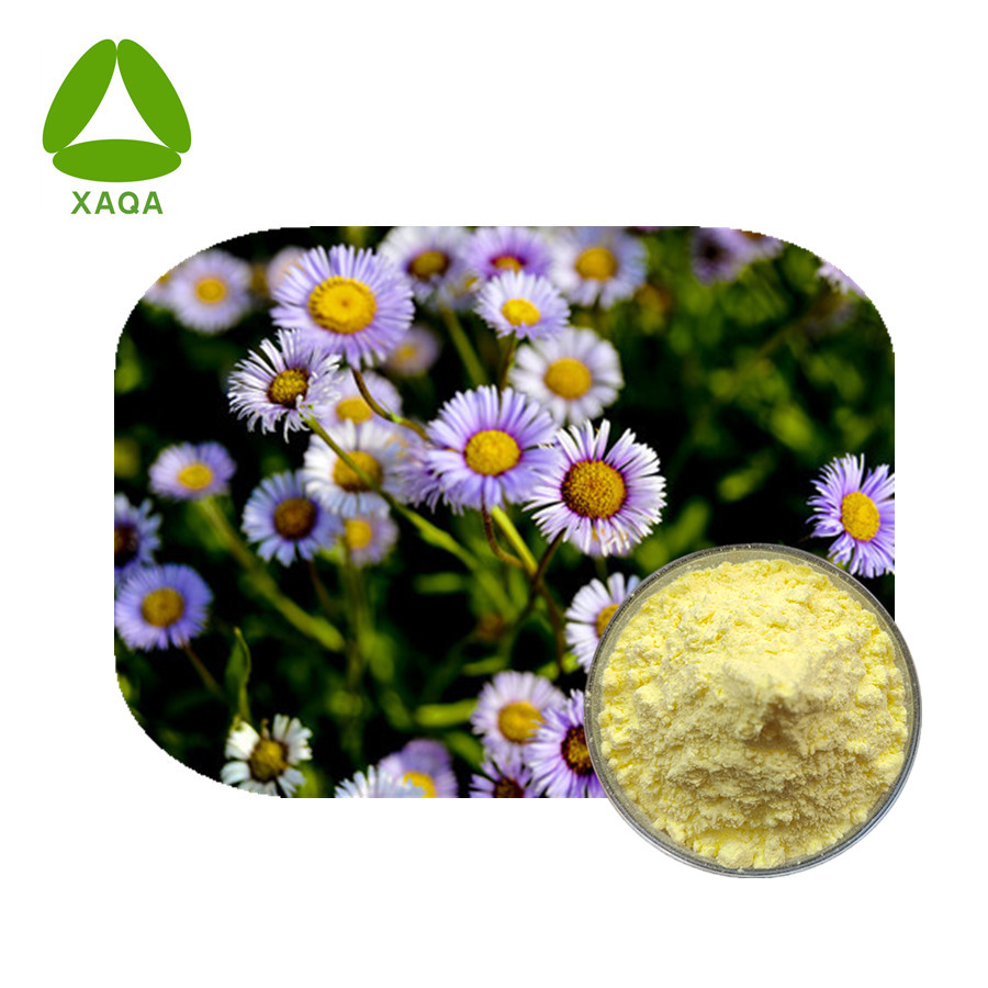 Порошок Breviscapinun 116122-36-2 Erigeron Breviscapus