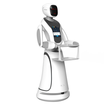 Csjbot: Intelligent AI Humanoid Robot Waiter