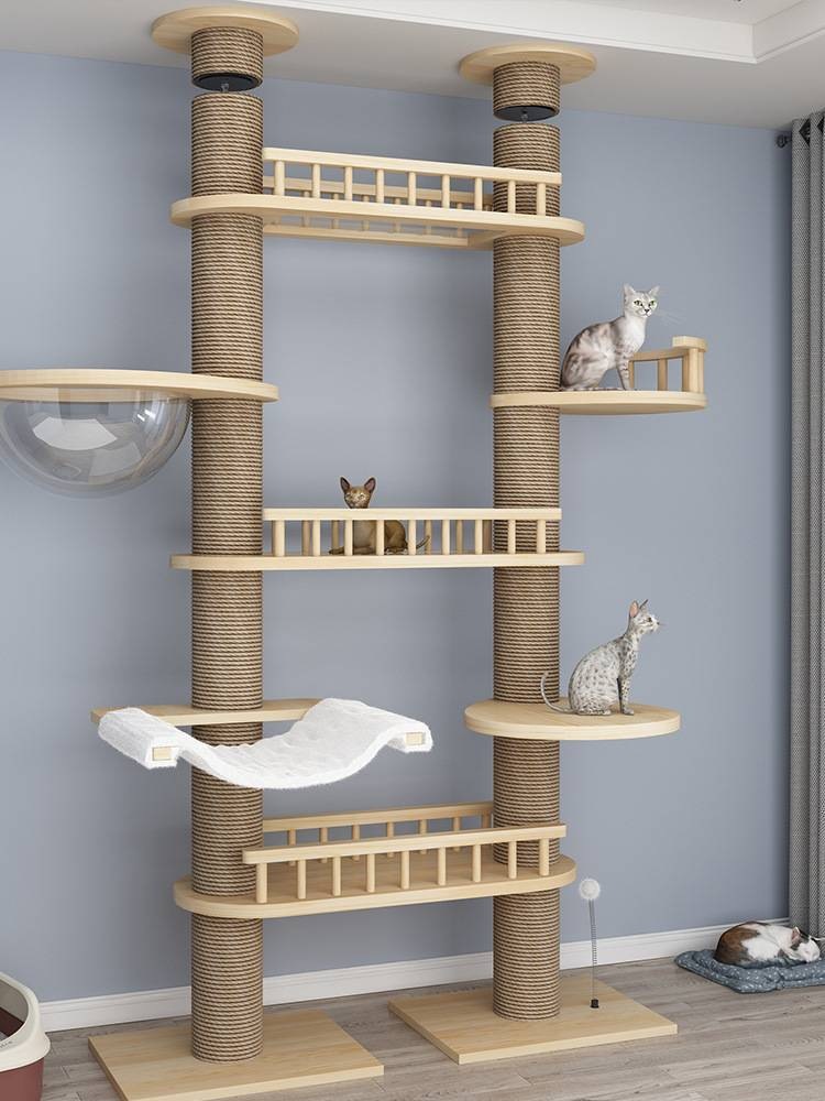 cat tree