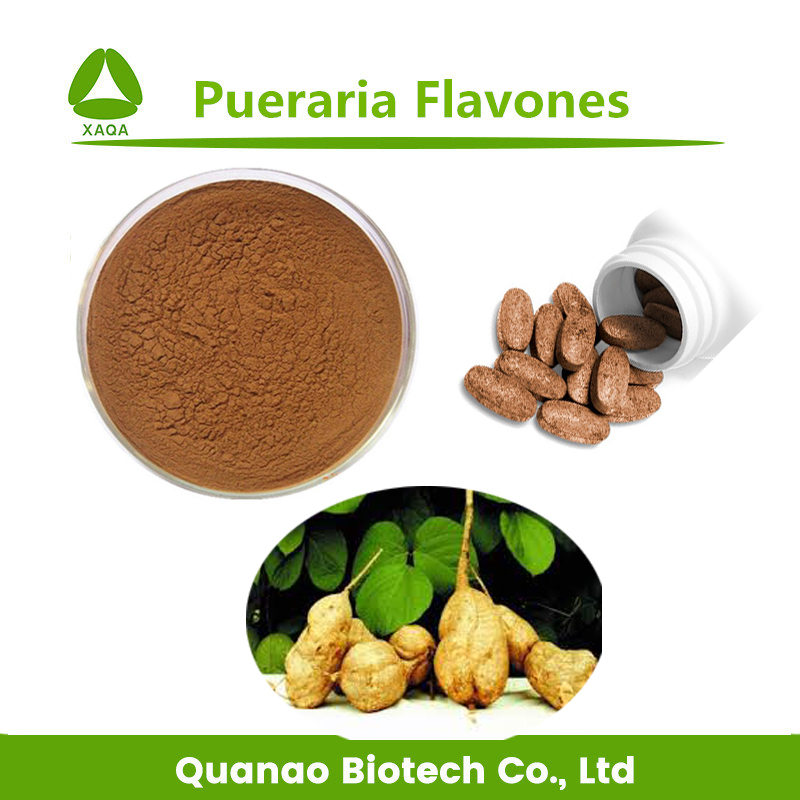 تكبير الصدر Radix puerariae استخراج Pueraria flavonid 40 ٪