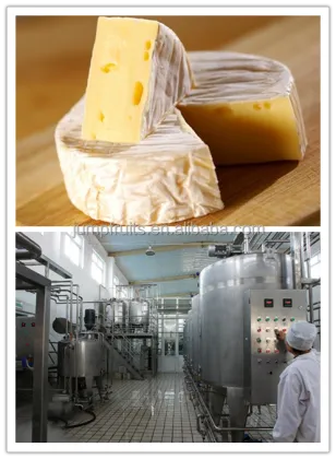 Yogurt Production Line Milk Processing Plant
