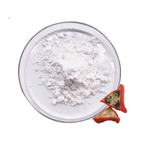 Good absorption 100% coral calcium powder