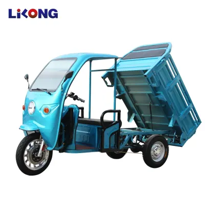 EEC Certified Safety Electric Truck for Family Use