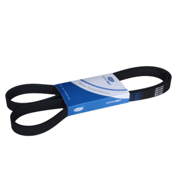 CR Ribbed V Belt