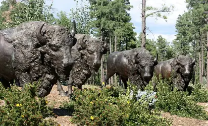 High quality garden decor bronze life size American bison statue