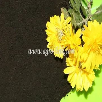 Sodium humate humic acid