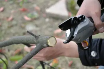 Professional  Electric shear