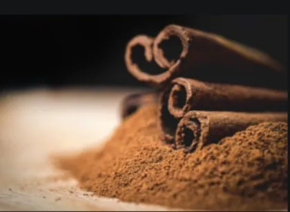 cinnamon extracts Cinnamon Polyphenols