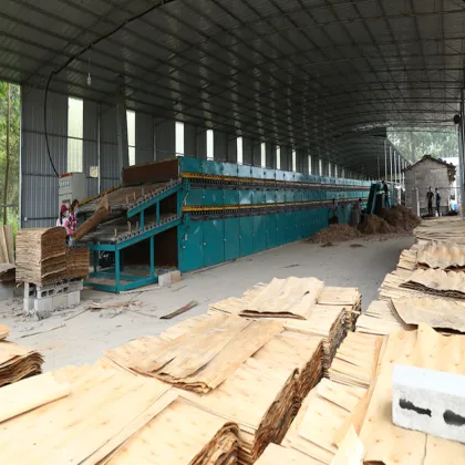 Continuous Veneer Jet Dryers