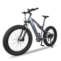 Low Power Consumption Fat Tire E-Bike