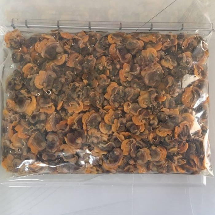 Frisches gefrorenes Muschelfleisch und blutige Blutmuscheln