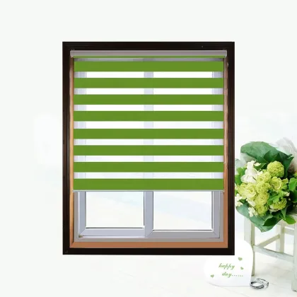 Window Blinds & Roller Shades: Dual Curtain Solutions