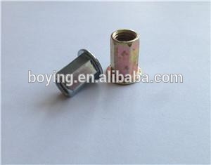 professional Manufacturer Supply Various Blind Rivet Nut (Best price)
