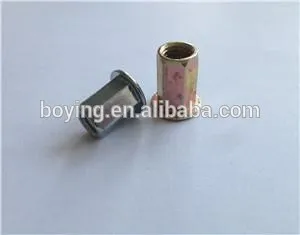 Rivet nuts