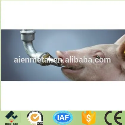 animal nipple drinker