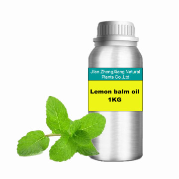 Pure natural Lemon balm Melissa oil