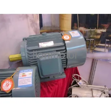 YX3 Series High-Efficiency Induction Motors