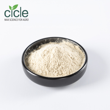 Alginate Oligosaccharide AOS Powder