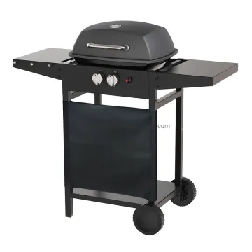 Entry Level 2 Burner Propane Gas Grill Outdoor Cooking with Trolley Cart