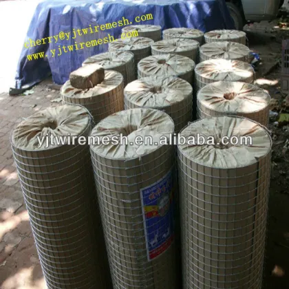 Galvanized Welded Wire Mesh(Direct Factory)