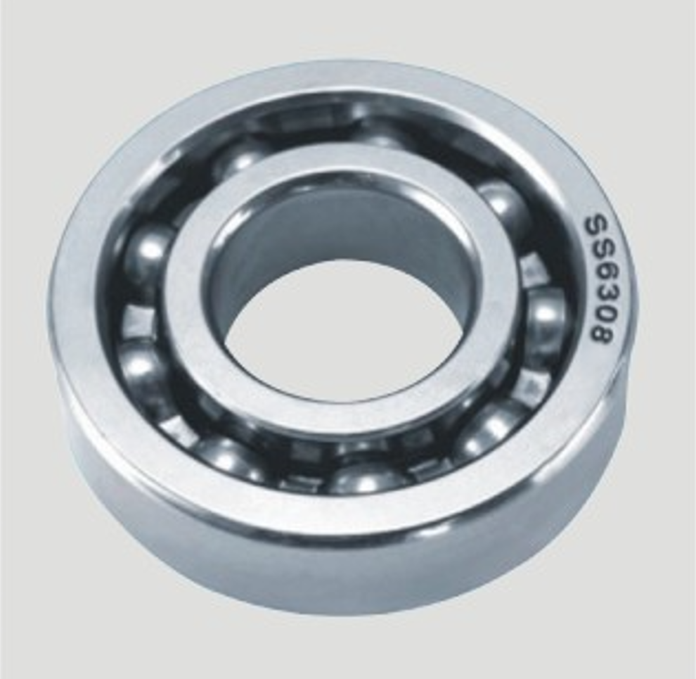 Deep Groove Ball Bearings SS6300