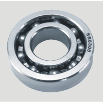 Deep Groove Ball Bearings SS6300