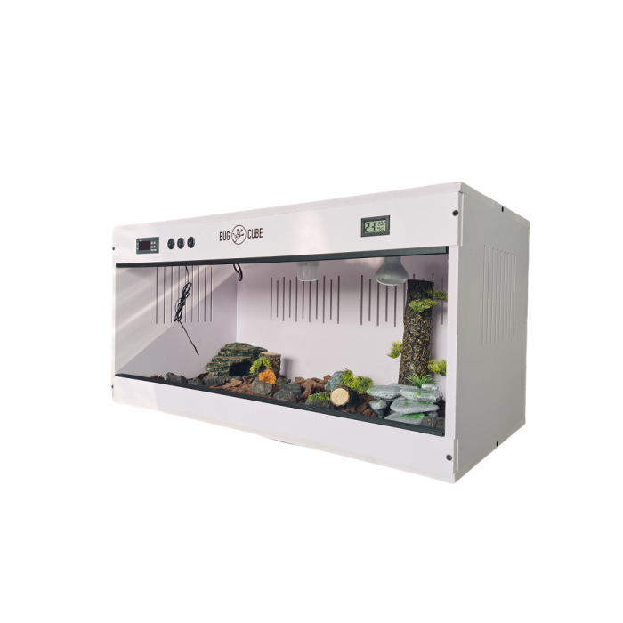 Caso de répteis de PVC multifuncionais para rball python