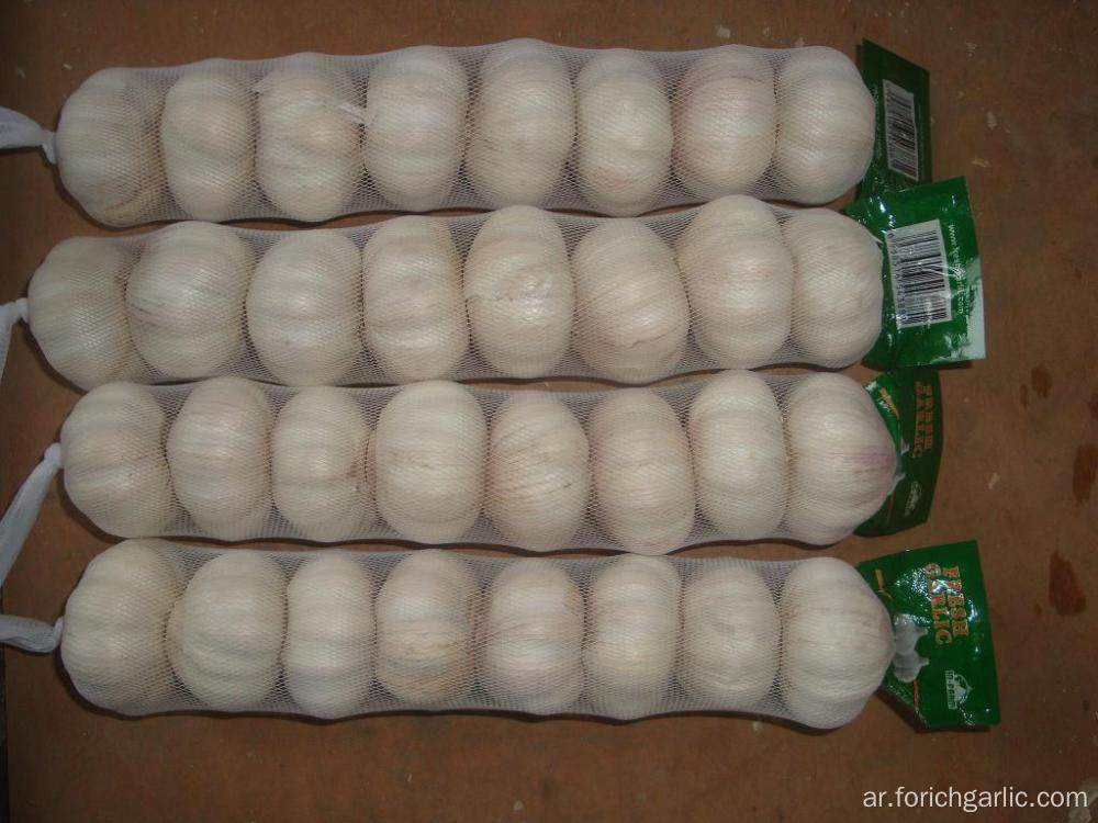 حجم كبير عادي Garlic15 16pcs كرتون bag10kg