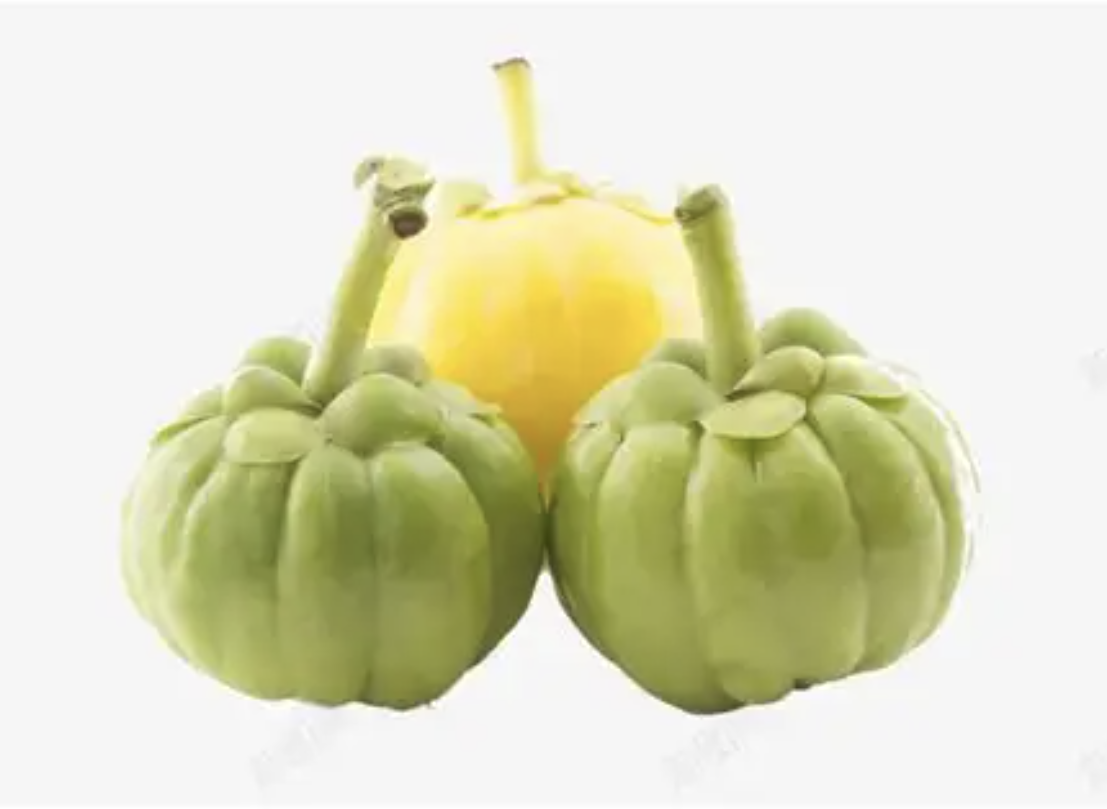 Garcinia Cambogia HCA Powder