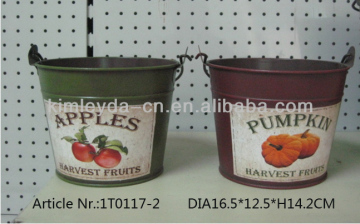 Colored metal water bucket with decal