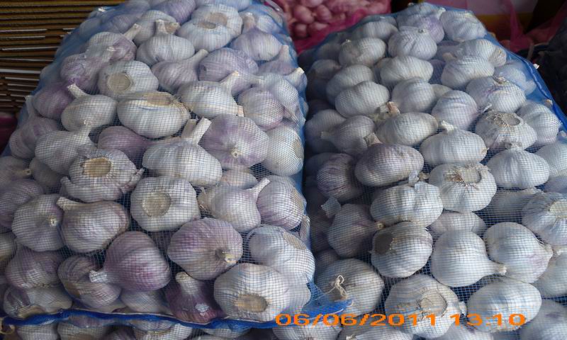 garlic packed in mesh bag