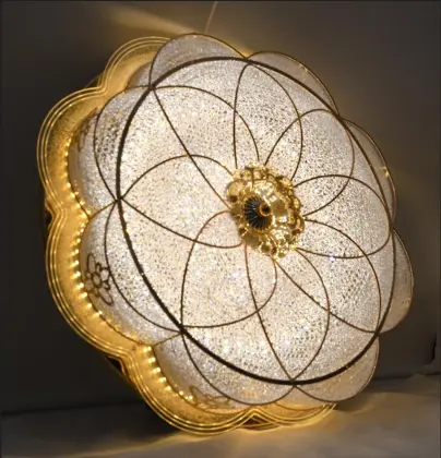 500mm Colored Changeable Round Ceiling Lights - Surface Mounted Indoor Lighting