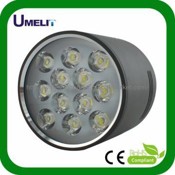 12w Integrated LED Down Light IP65 with CE and RoHS Certification