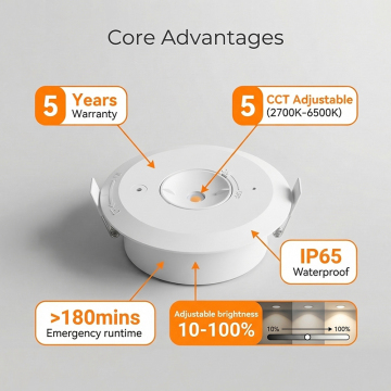 Multi-functional 5W Emergency LED Downlight IP65