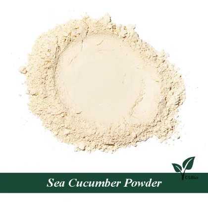 Wholesale sea cucumber powder sea cucumber peptide
