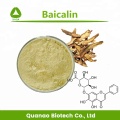 Extrato da raiz de Baicalensis de Scutellária Baicalin 85% HPLC