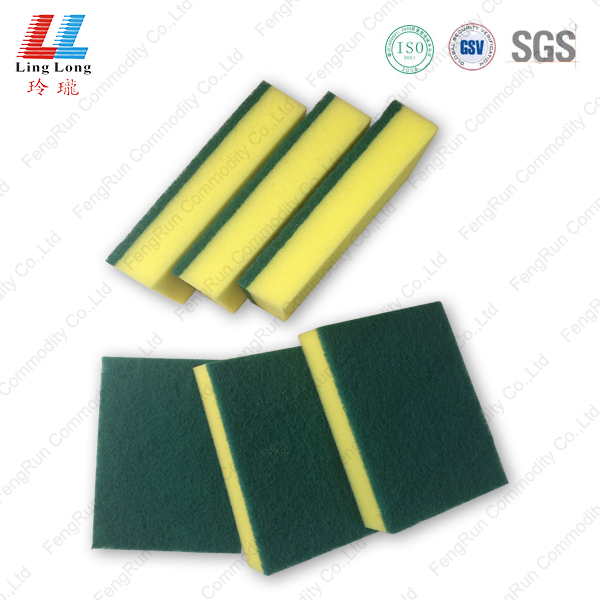 Scourer Sponge