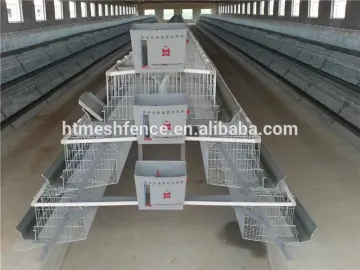automatic chicken layer cage/Poultry Farm House/quail cage