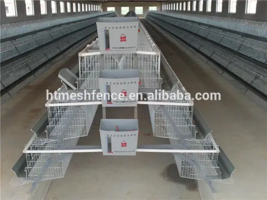 automatic chicken layer cage/Poultry Farm House/quail cage