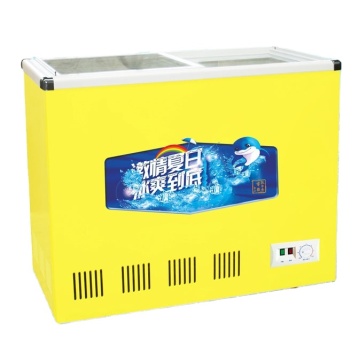SCD-248 Refrigerator Display Freezer for Frozen Food - Plain Glass Door Mobile Home Fridge Freezer