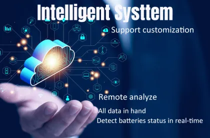 Center Power Electric Golf Cart & EV Batteries