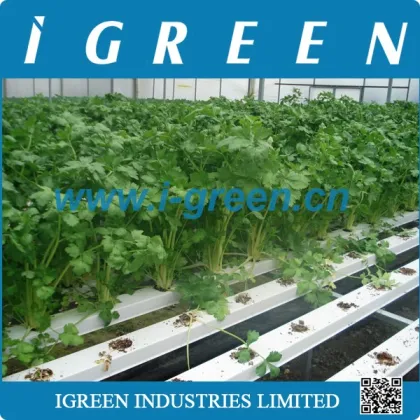 Agricultural PVC hydroponics growing systems